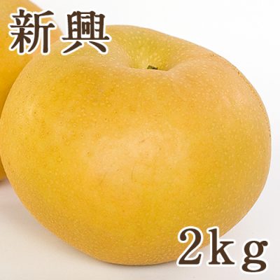 新興 2kg（4～6玉）