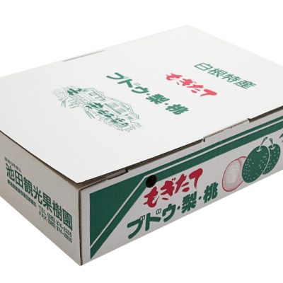 5kg梱包イメージ