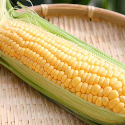 予約注文：新潟産とうもろこし