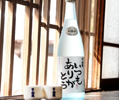 越乃白雁 吟醸酒 いつもありがとう（おちょこ付き）