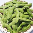 新潟産 黒埼茶豆（小平方地区）