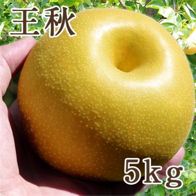 【贈答用】王秋 5kg