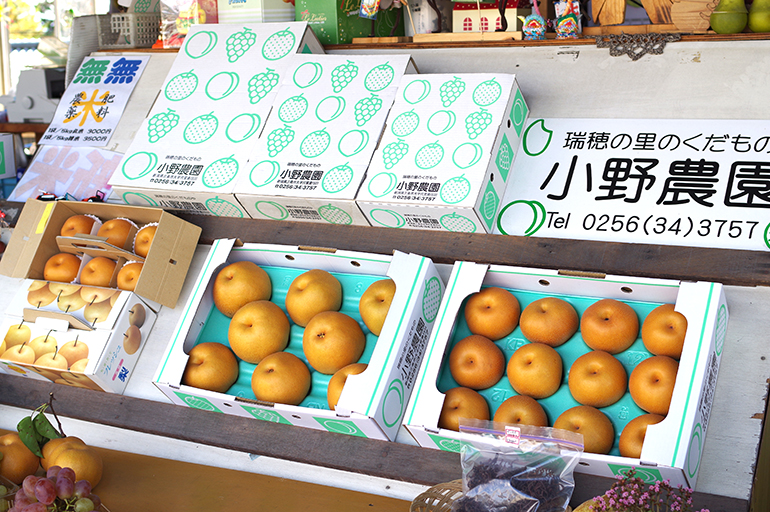 果樹栽培がとても盛んな新潟県三条市