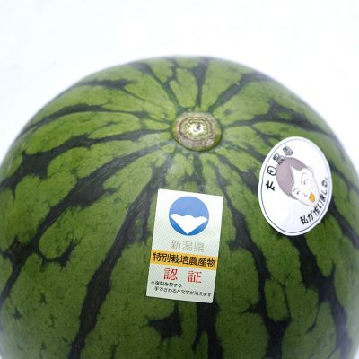 新潟産 小玉スイカ（特別栽培認証）