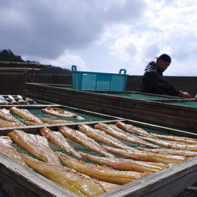 太陽の光が旨味を凝縮します