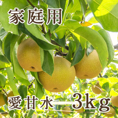 【家庭用】愛甘水 3kg