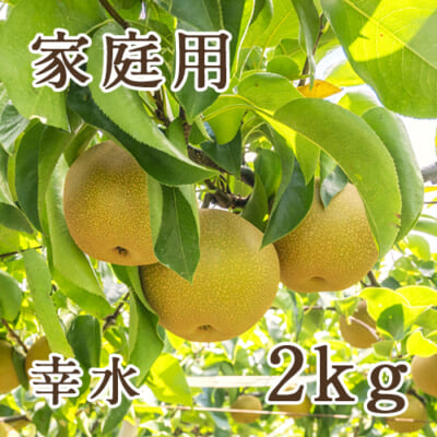 【家庭用】幸水 2kg