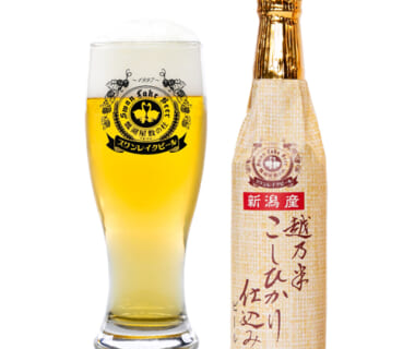 スワンレイクビール 越乃米こしひかり仕込み