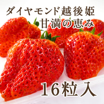 ダイヤモンド越後姫 甘満の恵み 16粒入り