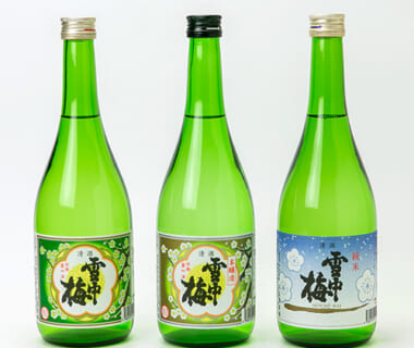雪中梅