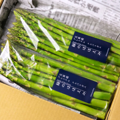 予約注文：新潟県産 グリーンアスパラガス