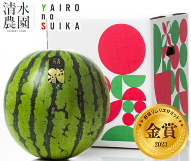 予約注文：南魚沼産スイカ（小玉・大玉）