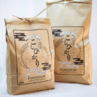 令和7年度米 南魚沼産コシヒカリ（従来品種）