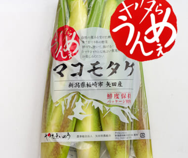 予約注文：新潟産 マコモタケ